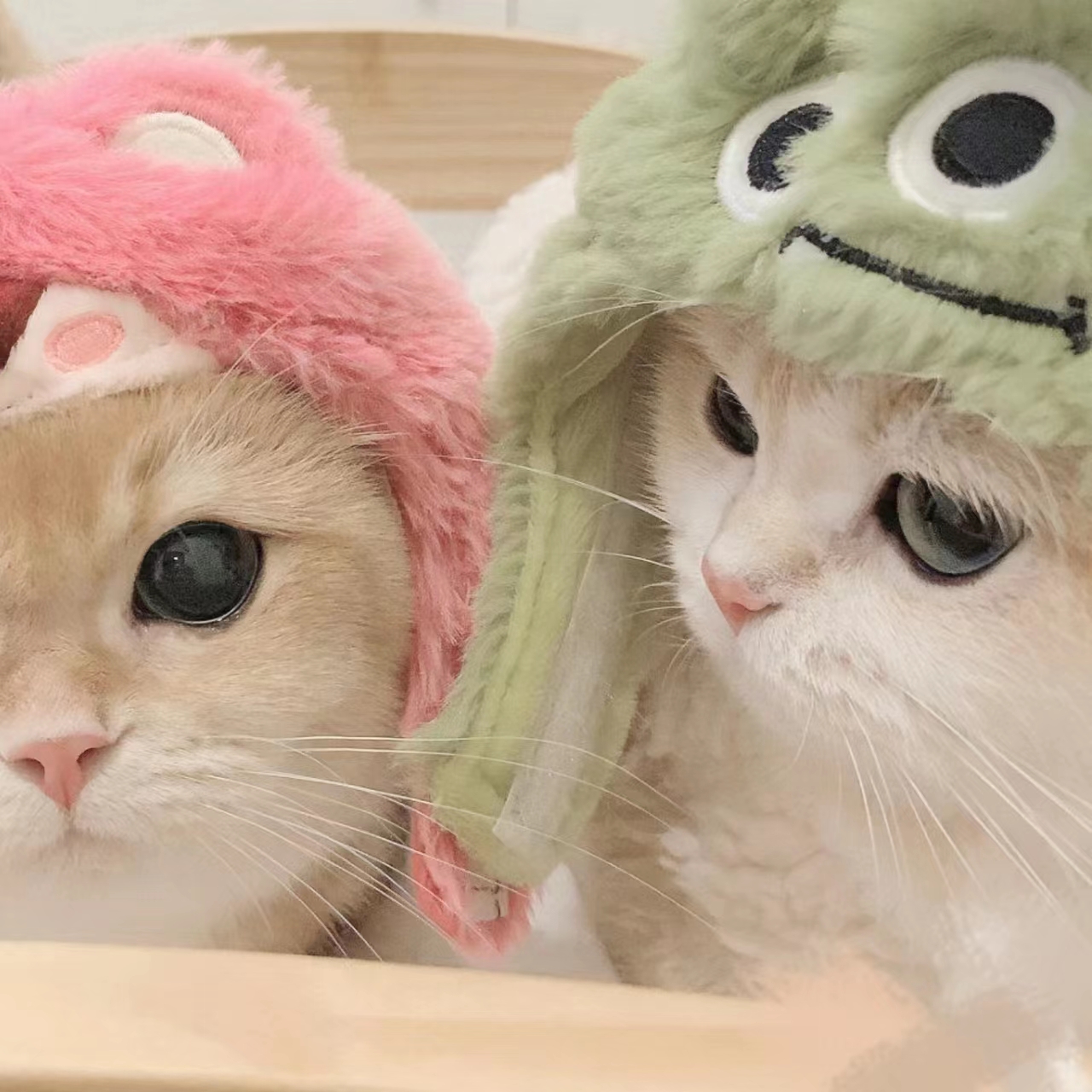 色色软件最新版